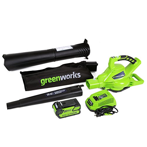 GreenWorks 24322 Variable Cordless Included